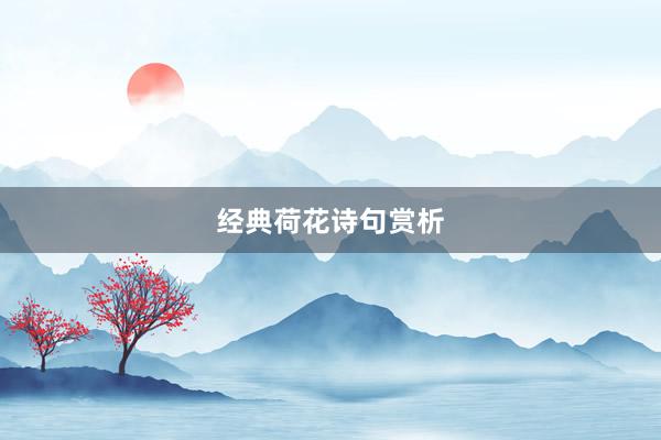 经典荷花诗句赏析