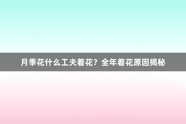 月季花什么工夫着花？全年着花原因揭秘